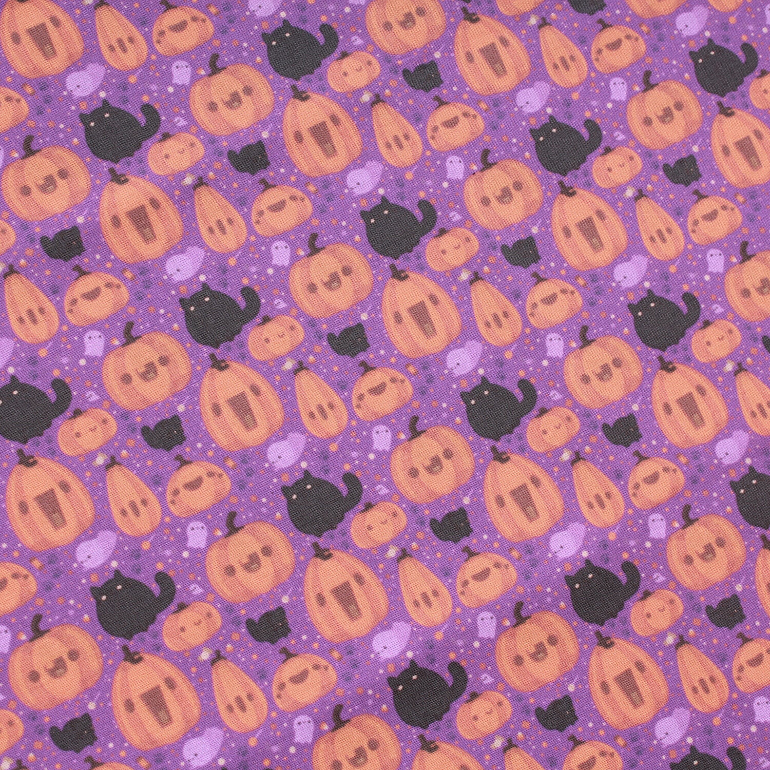 Black Cat Pumpkin Patch