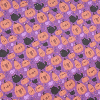 Black Cat Pumpkin Patch