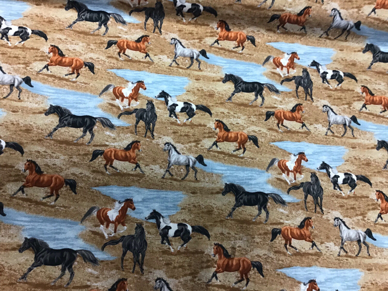 Horses Running Free