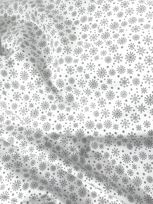 Snowy Day-Snowflakes