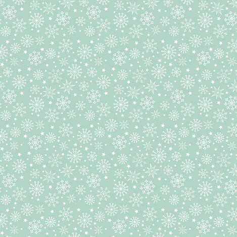 Snowy Day-Snowflakes Aqua