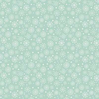 Snowy Day-Snowflakes Aqua