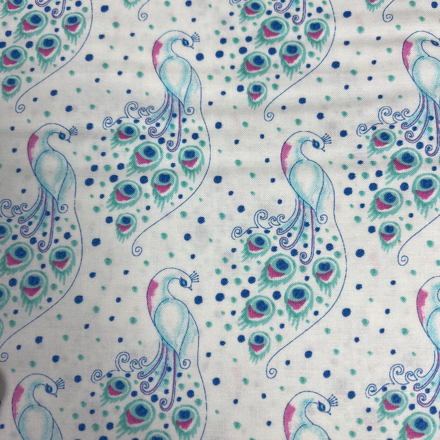 Peacock Outline