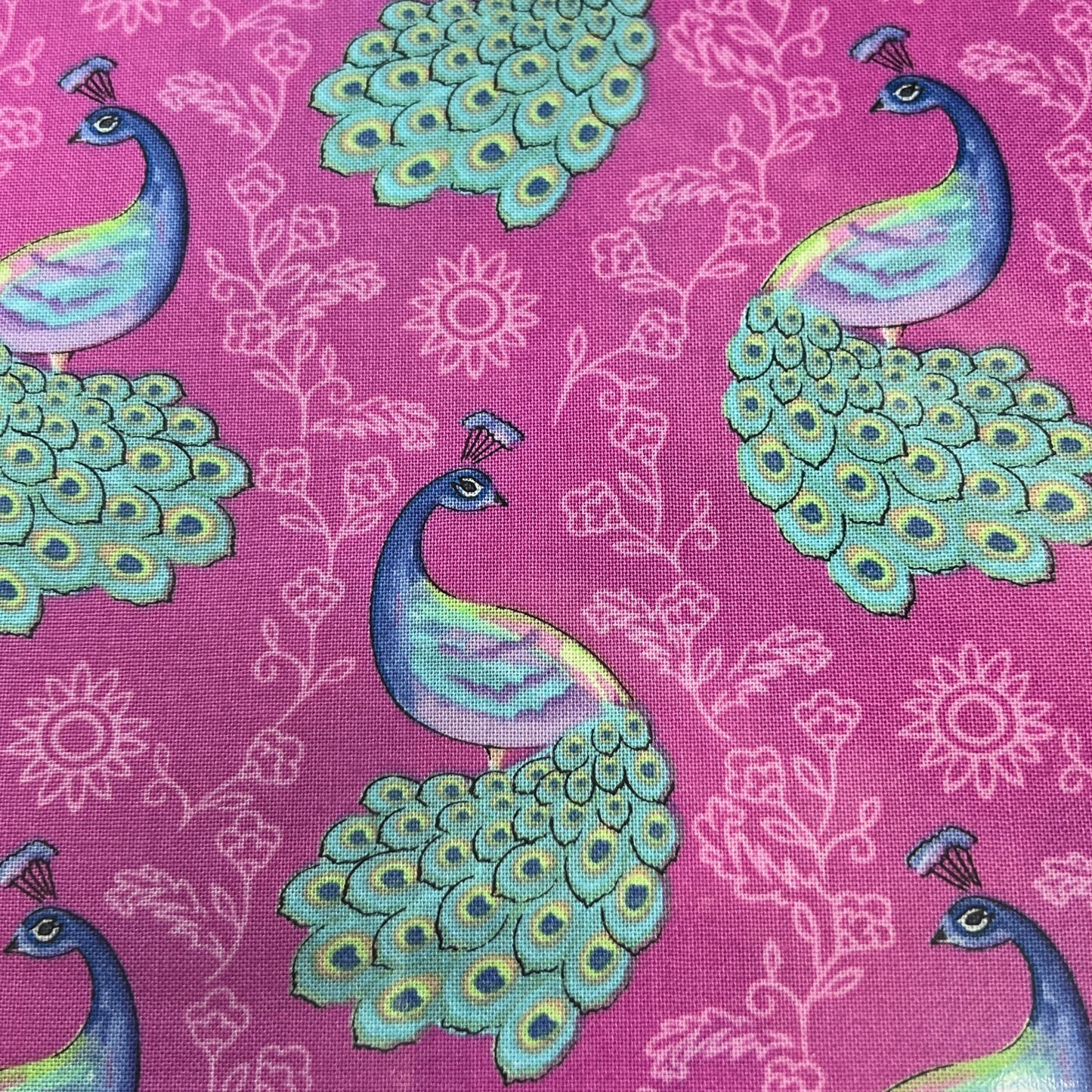 Peacock On Pink