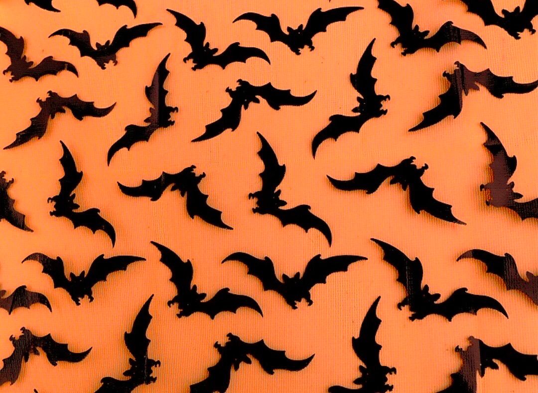 Chiffon- Bat
