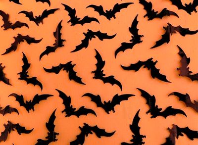 Chiffon- Bat
