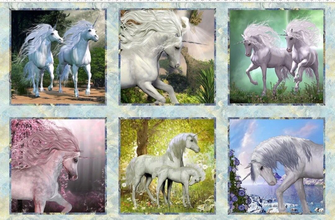 Unicorns- Cushion Panel