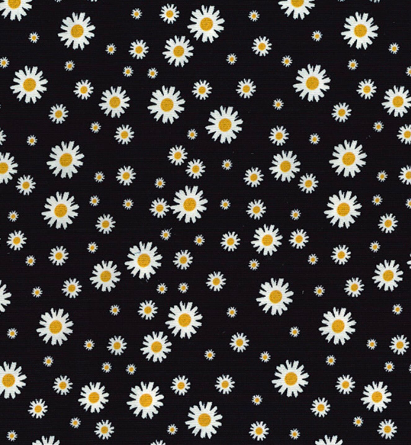 Corduroy Print- Midnight