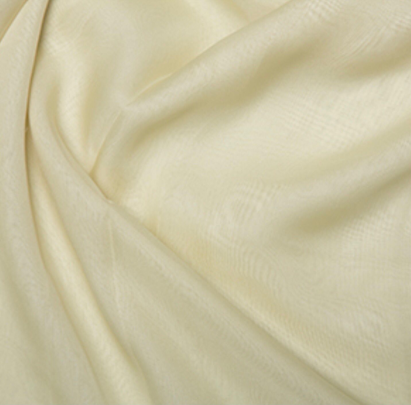 Cationic Chiffon- Cream