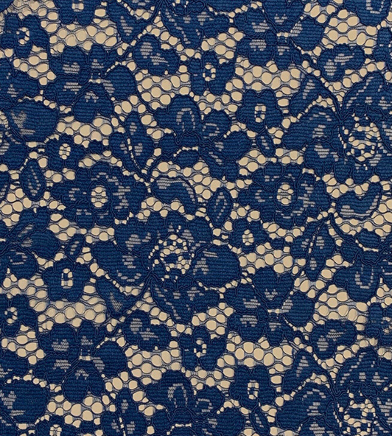 Corded Lace- Royal