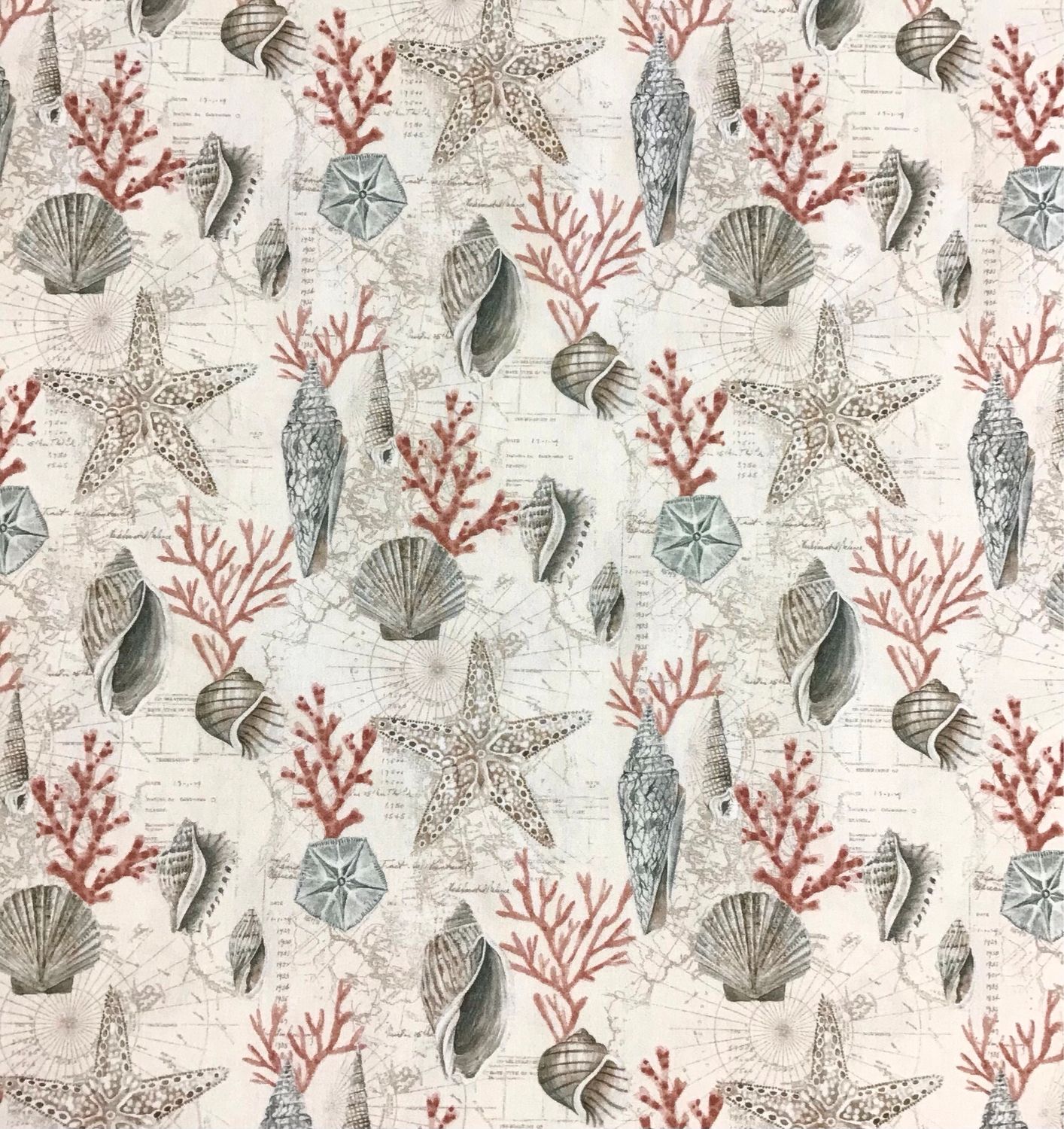 Sea Shells