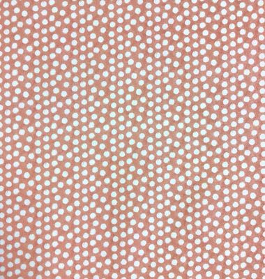 White Dots On Peach
