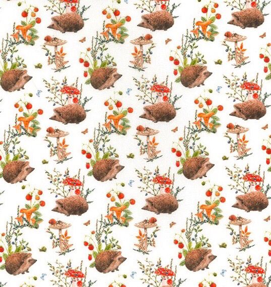 Hedgehogs, Flowers And Mushrooms