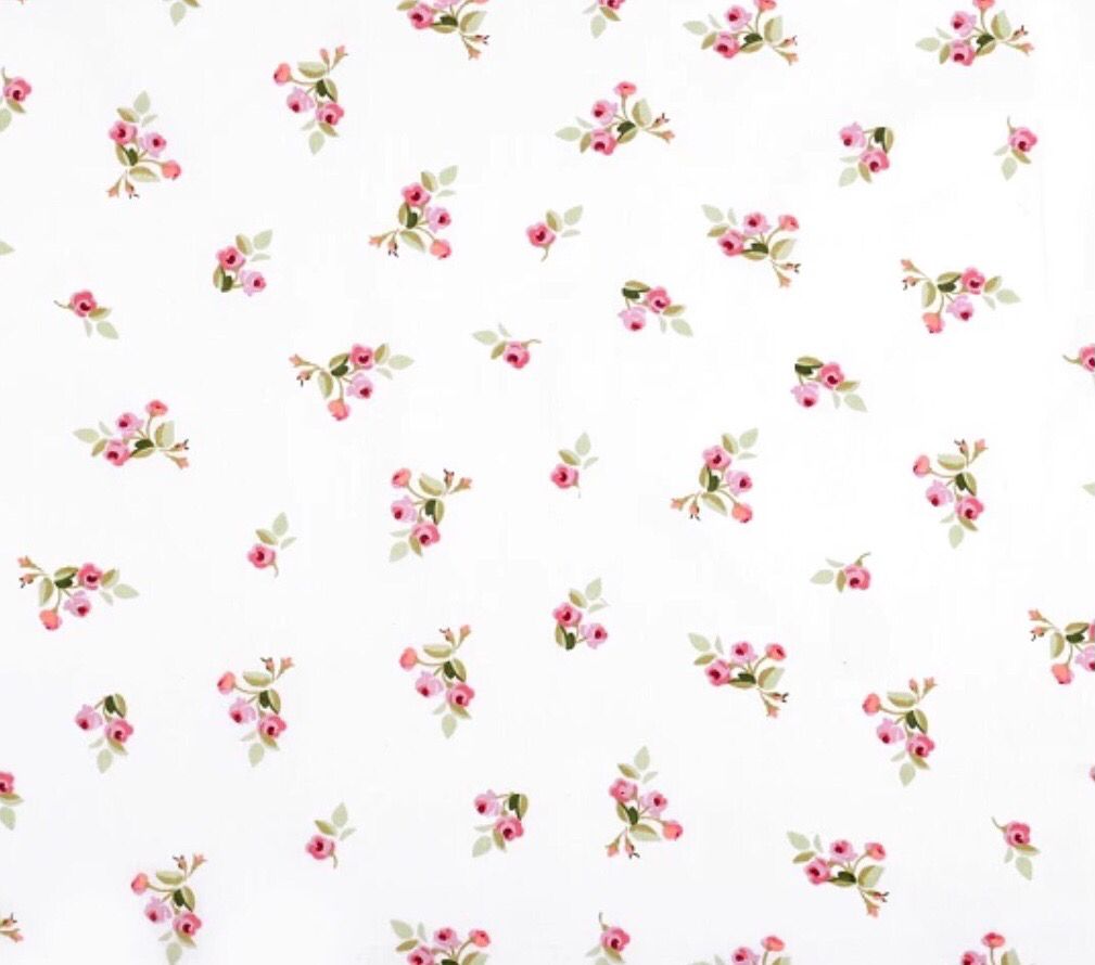 Roses On White