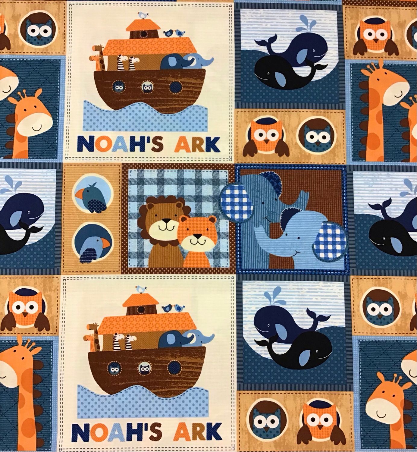 Noah’s Story