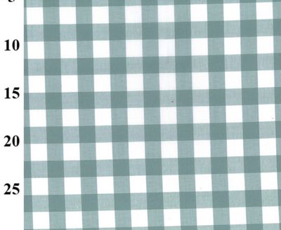 17mm Yarn Dyed Cotton Gingham- Duck Egg