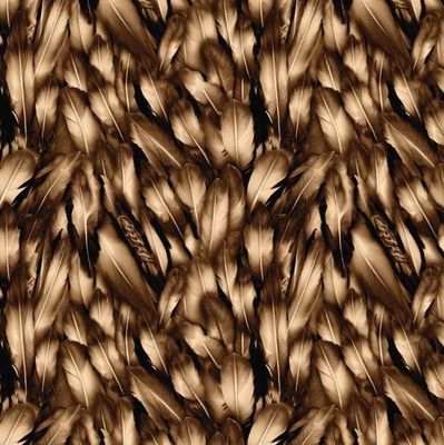 Strokes Of The Wild- Brown Feathers