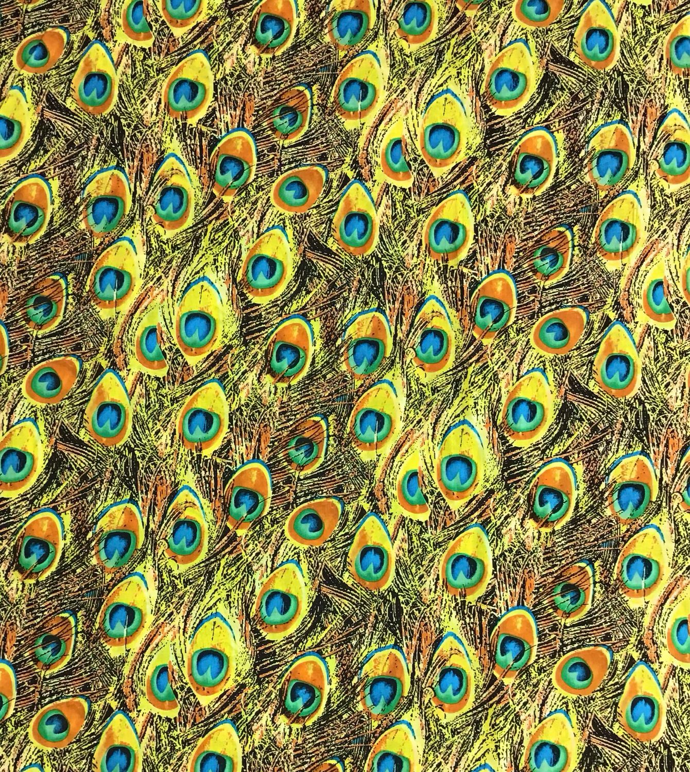 Peacock Feathers
