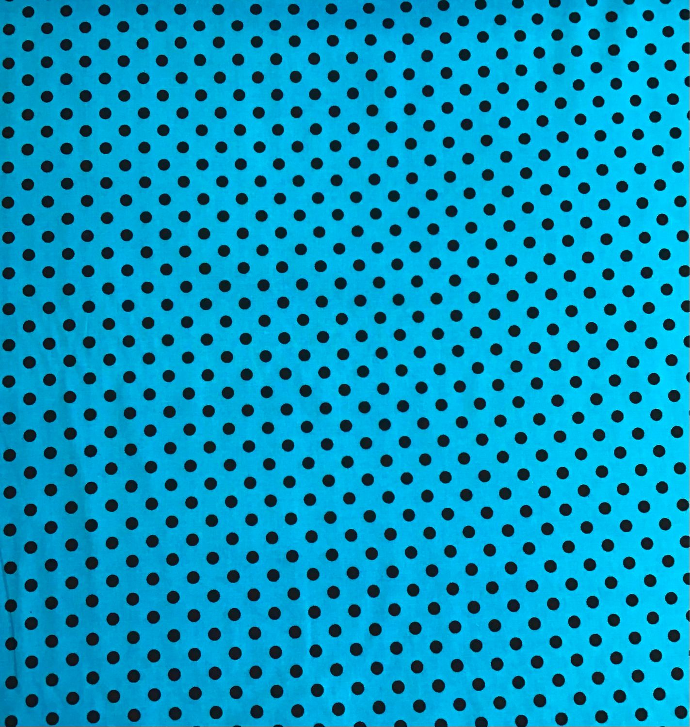 Blue With Black Polka Dots Cotton Poplin