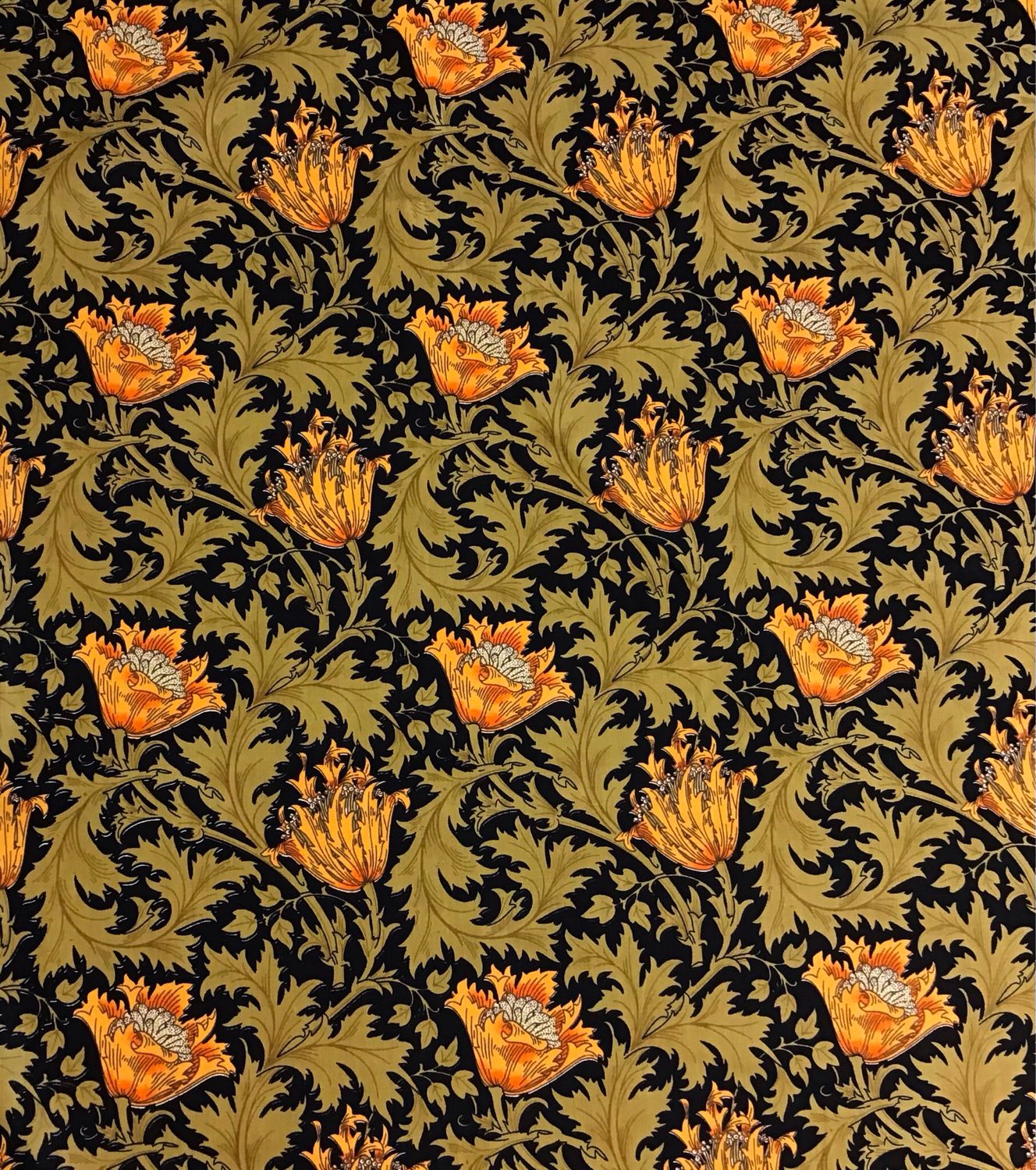 Black Cotton with Orange Flowers