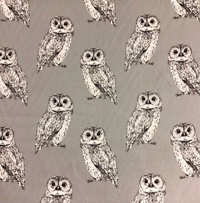 Canvas- Owls