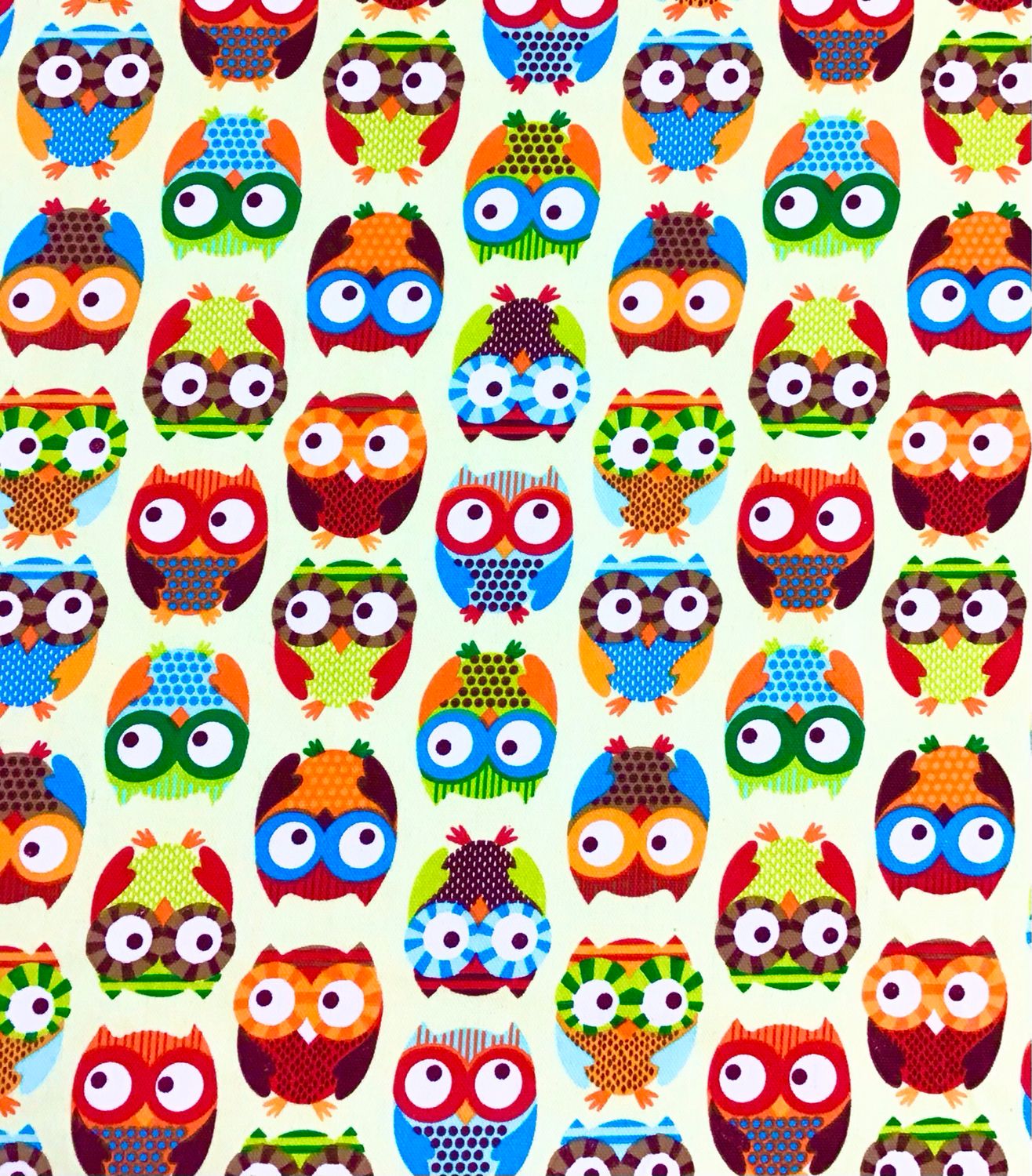 Canvas- Multicoloured Owls