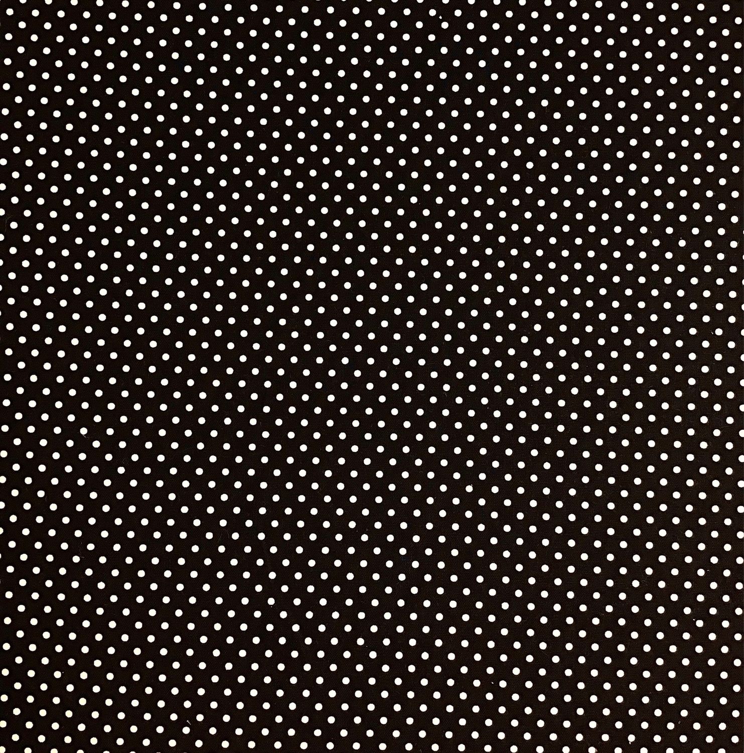 Canvas- Small Dots