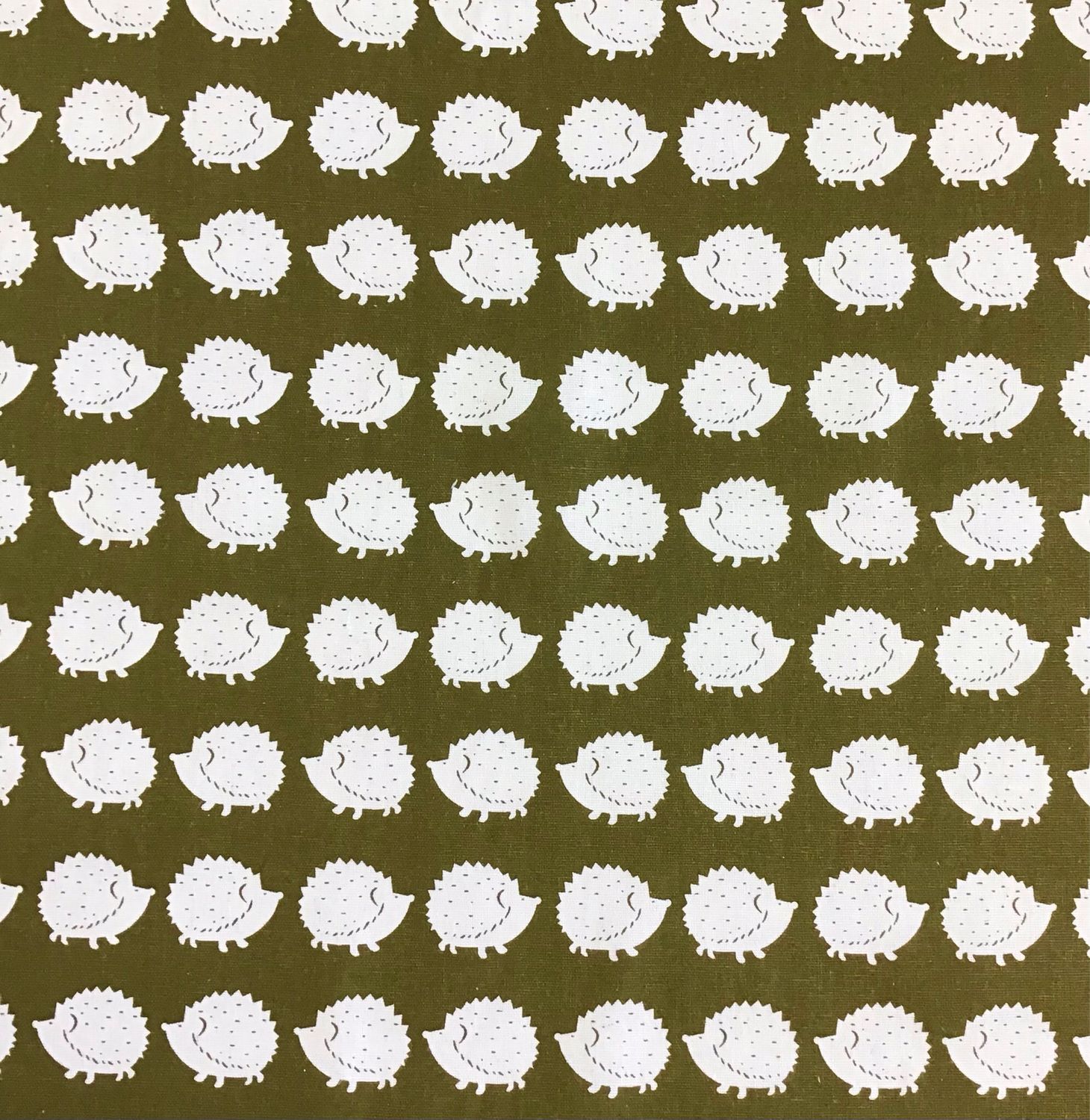 Hedgehogs On Moss