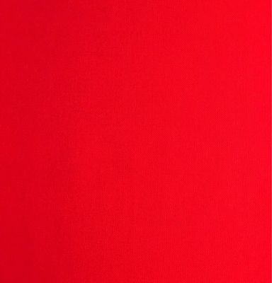 Canvas- Red
