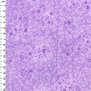 Flowers- Orchid Flowers- Orchid