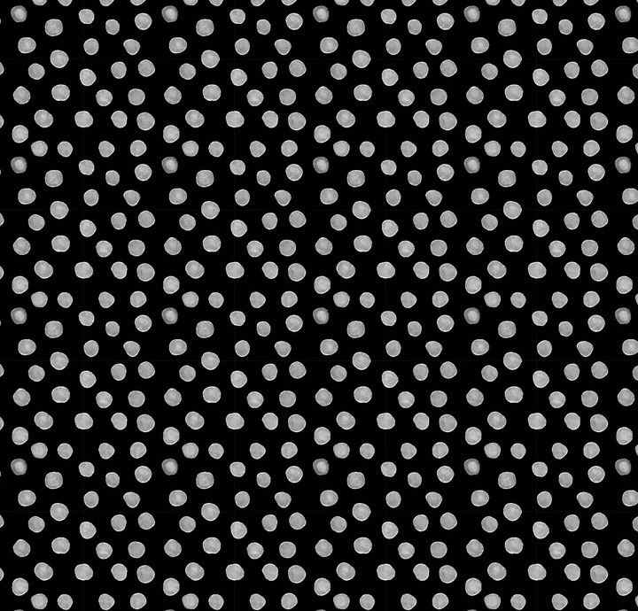 Penguin Party- Snowball Penguin Party- Snowball