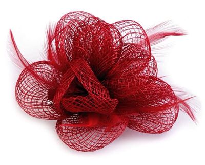 Fascinator, Brooch/ Hair Ornaments