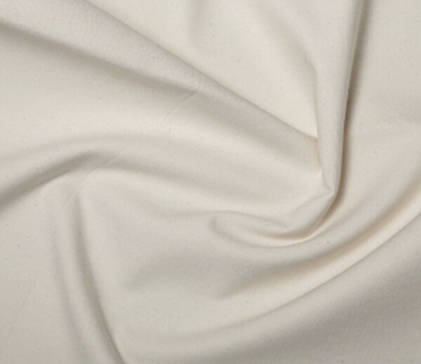 Artist's Canvas Artist's Canvas