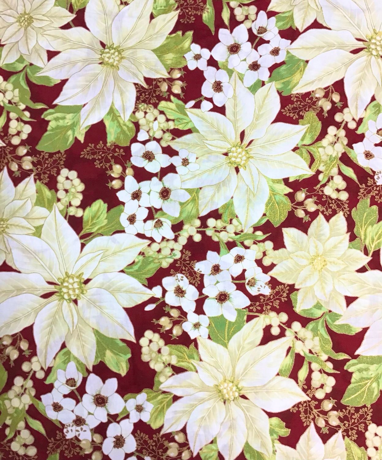 Poinsettia On Red Poinsettia On Red