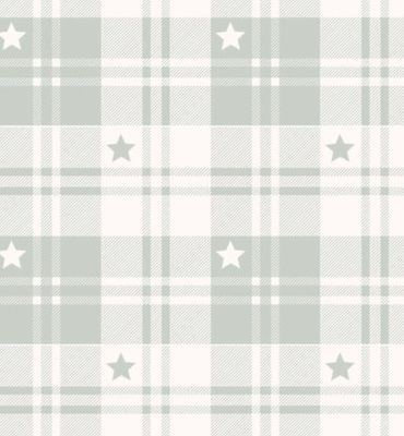 Toybox Treasures- Sage Check