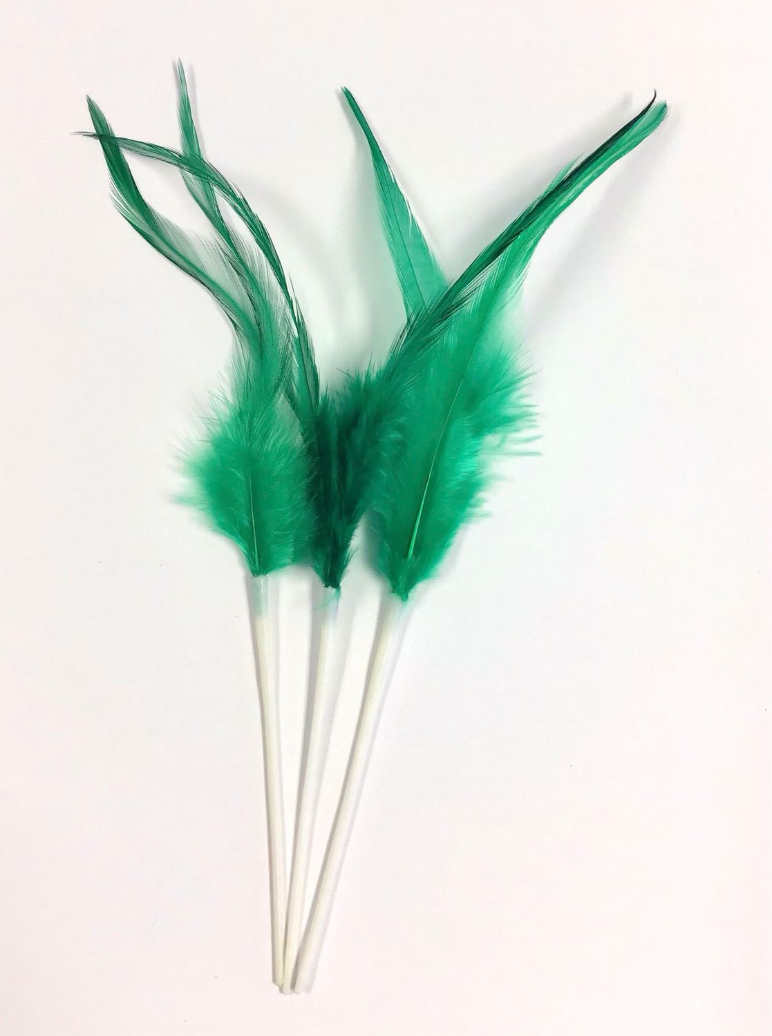 Rooster Feathers- Green