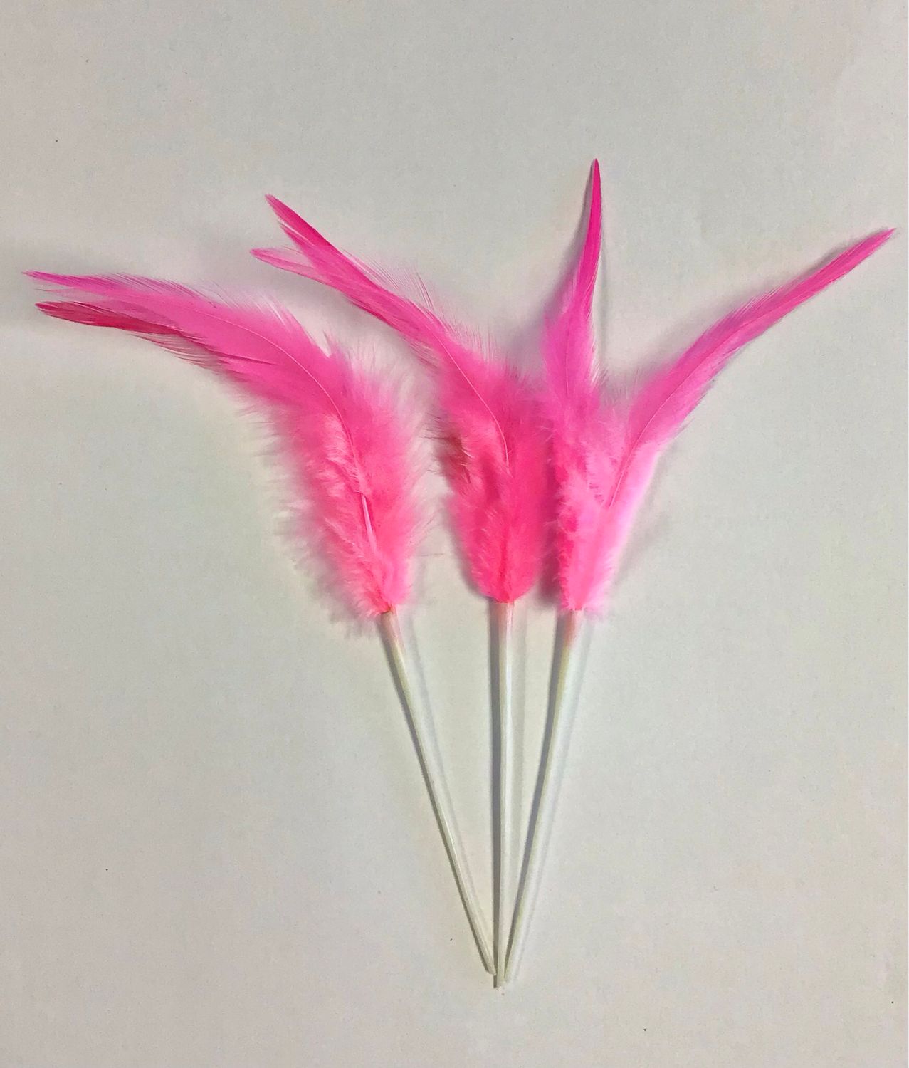 Rooster Feathers- Hot Pink