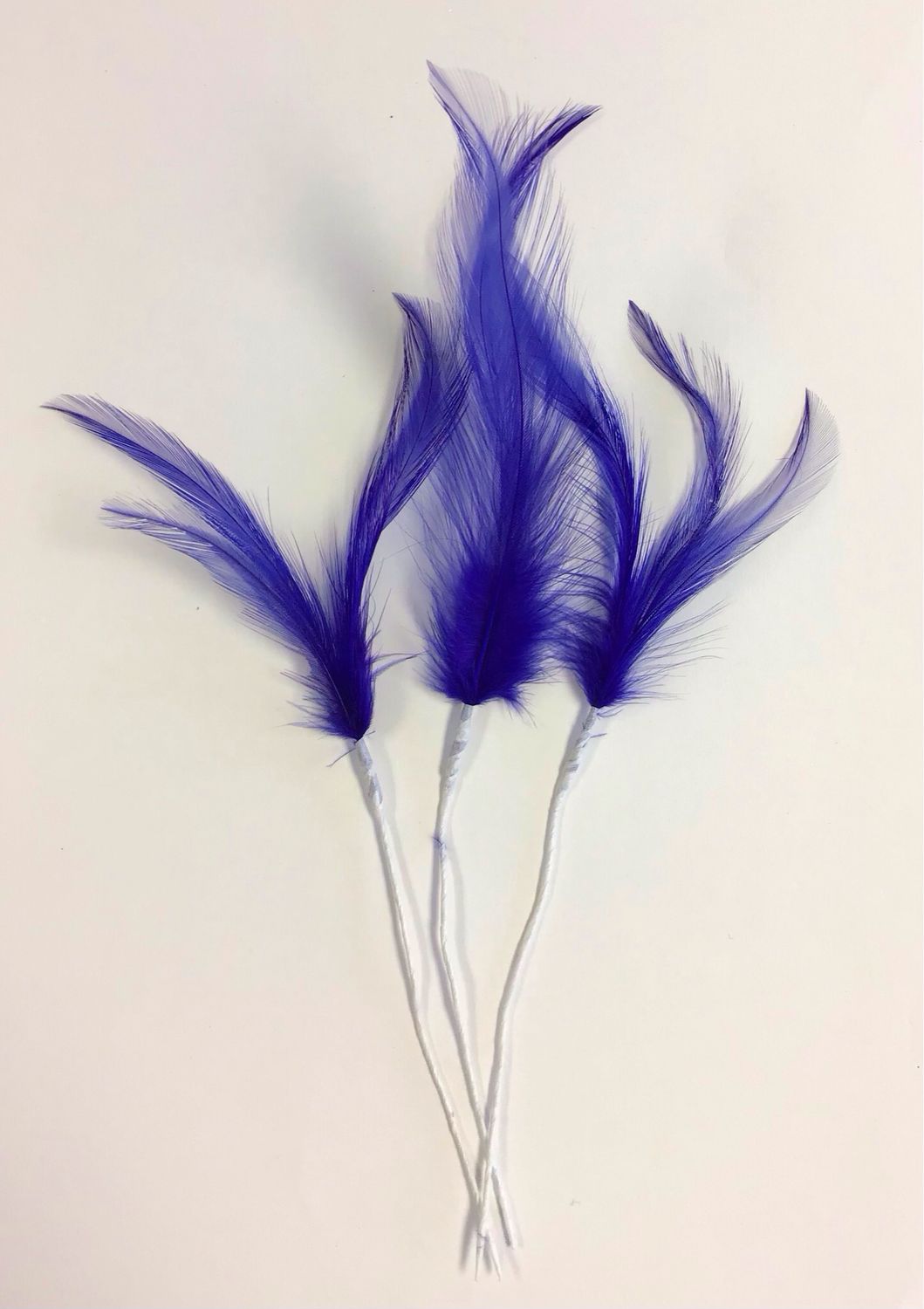 Rooster Feathers- Royal Blue