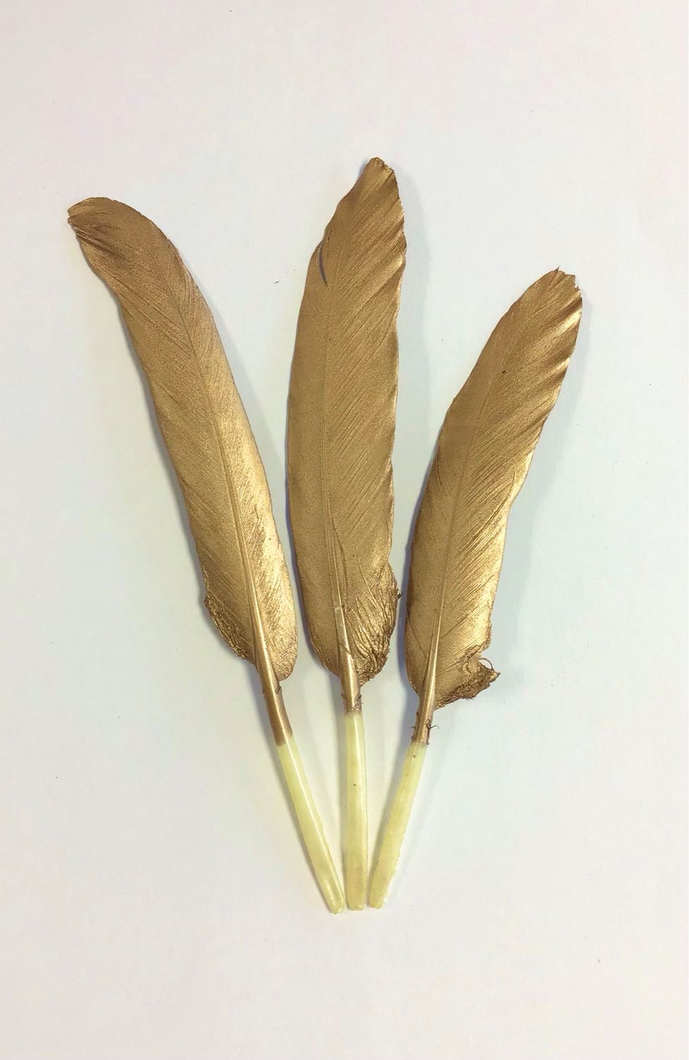Duck Feathers Small- Gold