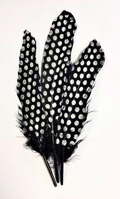 Goose Feathers- Black with White Dots Goose Feathers- Black with White Dots