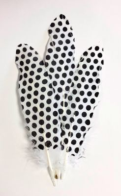 Goose Feathers- White with Black Dots Goose Feathers- White with Black Dots