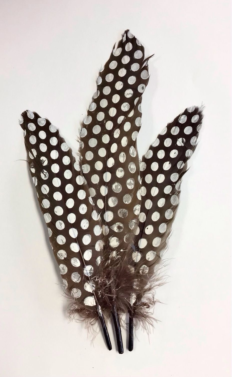 Goose Feathers- Brown with White Dots