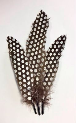 Goose Feathers- Brown with White Dots Goose Feathers- Brown with White Dots