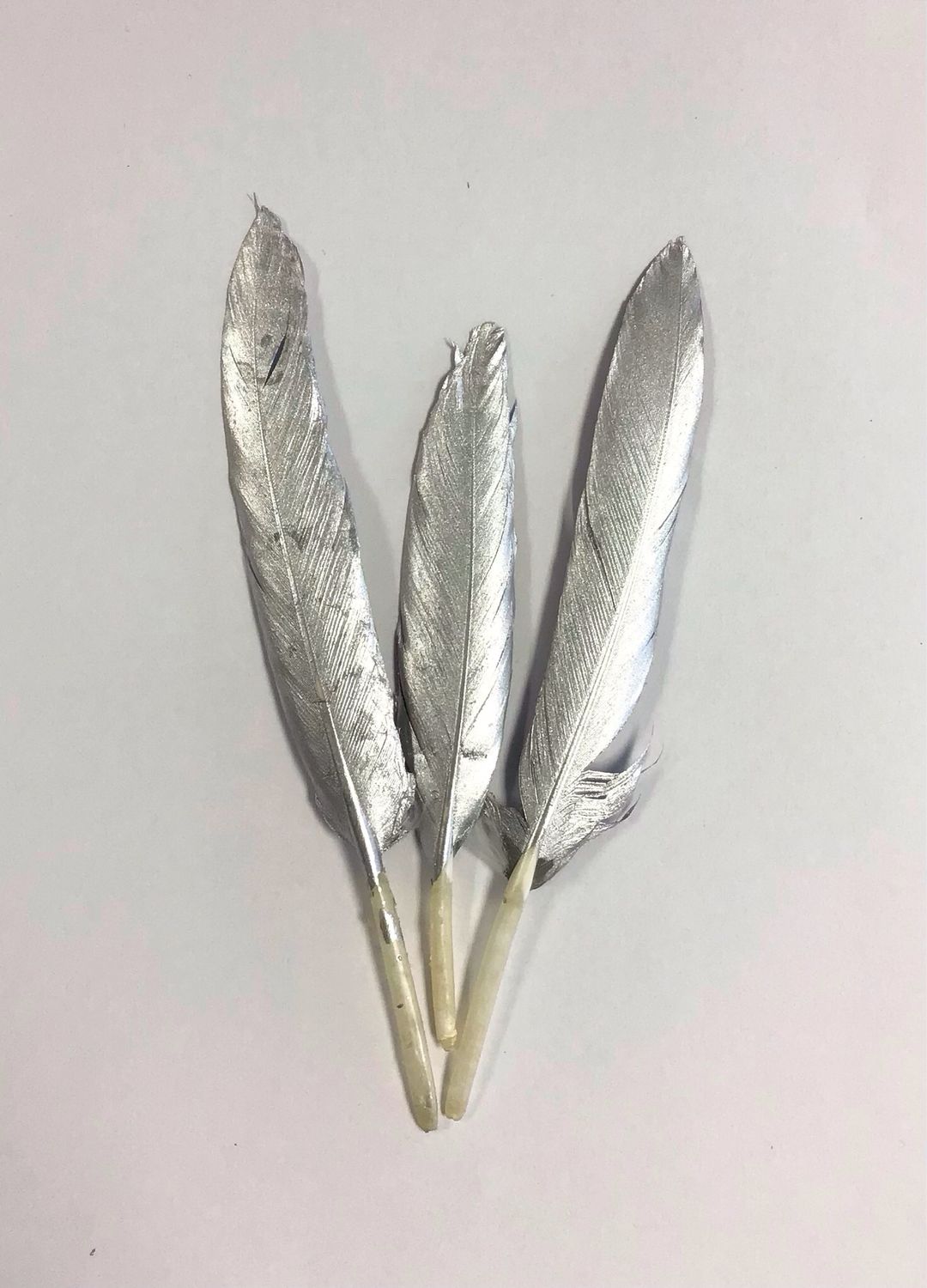 Duck Feathers Small- Silver