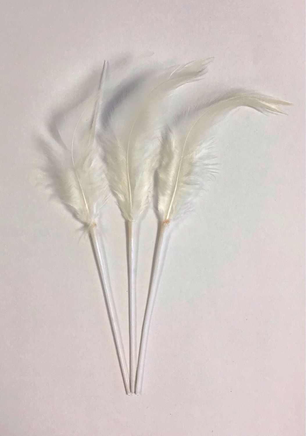 Rooster Feathers- Ivory