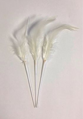 Rooster Feathers- Ivory Rooster Feathers- Ivory