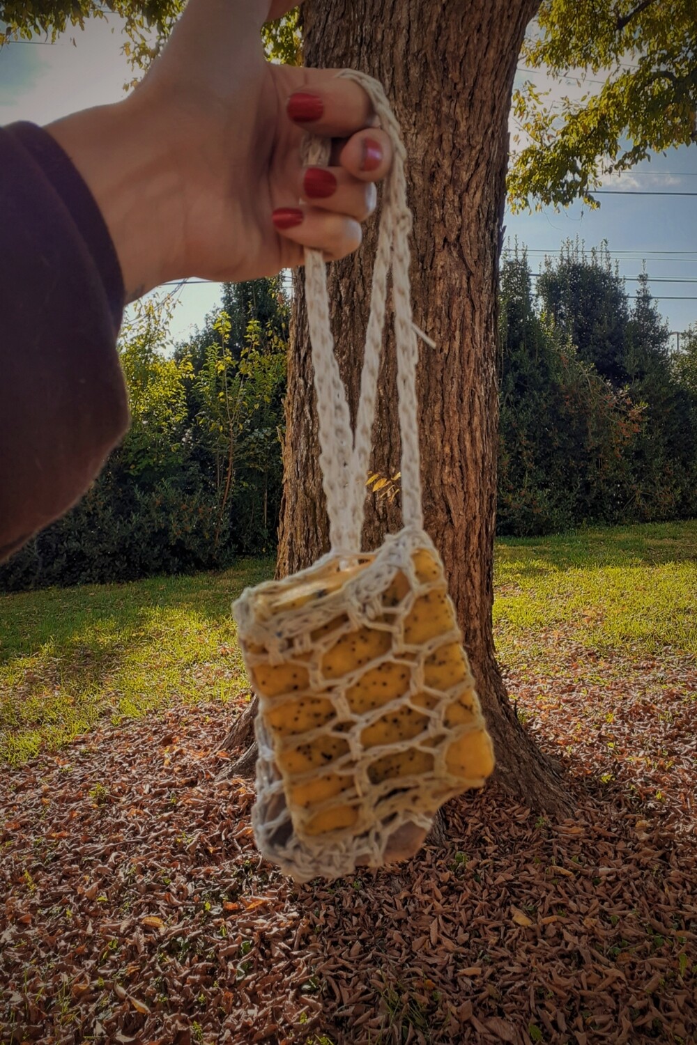 Soap on a Rope