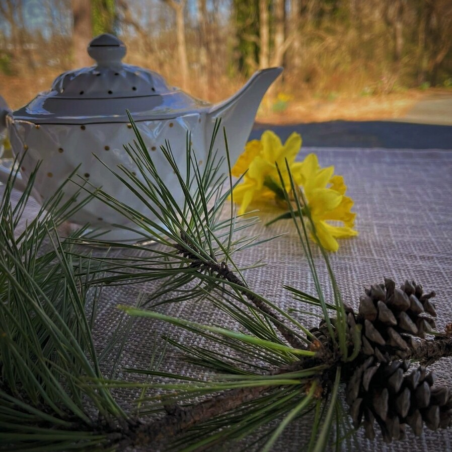Basic Tea Party Package - 4-6 Guests