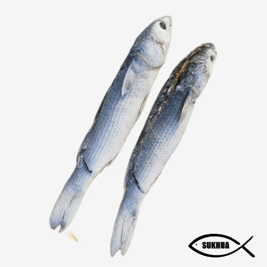 Dried Mullet Fish