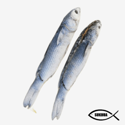 Dried Mullet Fish